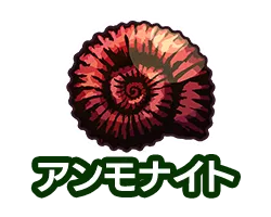 アンモナイト