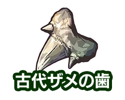 古代ザメの歯