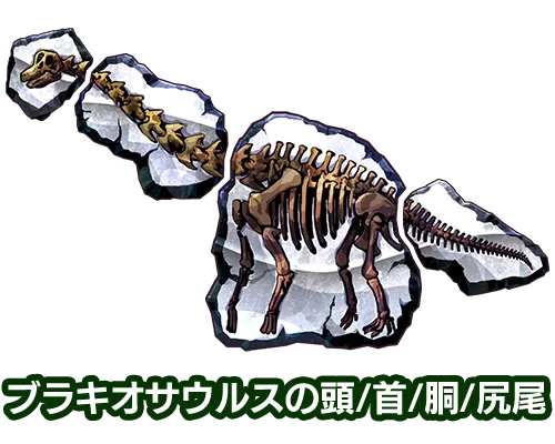 ブラキオサウルスの頭/首/胴/尻尾