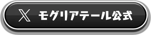 公式X